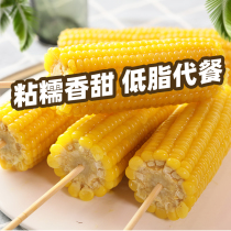 Li Yulong yellow waxy corn 8 sweet waxy sticky corn cob Water vacuum fresh fruit Instant corn sticky corn kernels