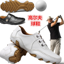Leather golf shoes light mens shoes golf breathable waterproof anti-skid shoes head layer cowhide casual sneakers