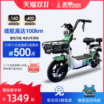 Wuyang electric vehicle new national standard electric bicycle lithium battery small parent-child car delivery car