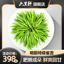 Emeishan bird tongue authentic premium 2021 new tea Mingqian green tea Alpine buds four seasons spring tea 250g