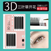 Three leafy grass 3D grafting eyelashes for one second Blossom Water Mince Y type Upgrade with no loose root ultra soft yy Mountain tea flowers