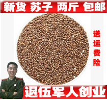 Su Zi Zi Zi Zi Zi Northeast Oil Suzi 500 grams A Jin Another White Su Chinese Medicinal Materials
