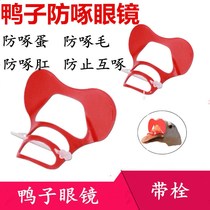 Duck glasses duck special eye mask chicken glasses anti-Peck fight colorful pheasant large native chicken duck ring