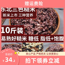 Three-color brown rice new rice 10kg active Brown Rice fat reduction coarse grain brown rice fitness fat reduction meal coarse grain miscellaneous grains