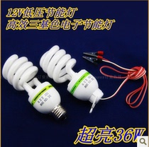 12V energy-saving lamp 12v floor lamp 12V battery lamp 12V low pressure lamp AC12V 36W screw clamp