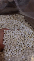 This Southern Jiangsu Dasu Ye granules light yellow boiled out to bloom Sugo cashew fruit sweet soup lotus seed Sugui sweet soup