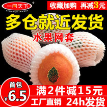 Fruit net cover Foam shockproof protective cover Peach mesh bag Strawberry orange watermelon mesh bag Apple bag