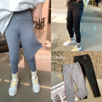 Salty Egg Shrimps Rice Korea Girl Super Elastic Pro Skin Pants Yoga Pants Yoga Long Pants Baby Spring Dress Shark Pants