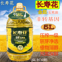 Longevity flower gold embryo corn oil 5L physical pressing non-transgenic first grade corn oil nitrogen-filled and fresh