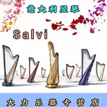 European Salvi Salvi classical harp instrument luxury exquisite elegant professional orchestra rode