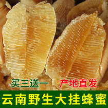 Yunnan wild honey tree row bee pure natural hanging honey mature honey virgin forest wild honey hundred nectar 500g