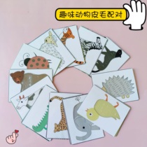 Kindergarten teaching aids small and middle class educational area animal fur matching early education cognitive card