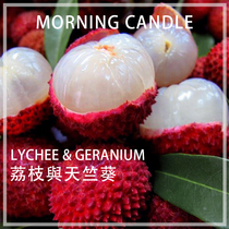 Lychee with geranium scented spice DIY aromatherapy plaster scented candle expanded essential oil handmade material