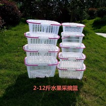 White cooked glue 2-10kg fruit basket strawberry portable plastic Bayberry blue grape cherry picking basket egg frame