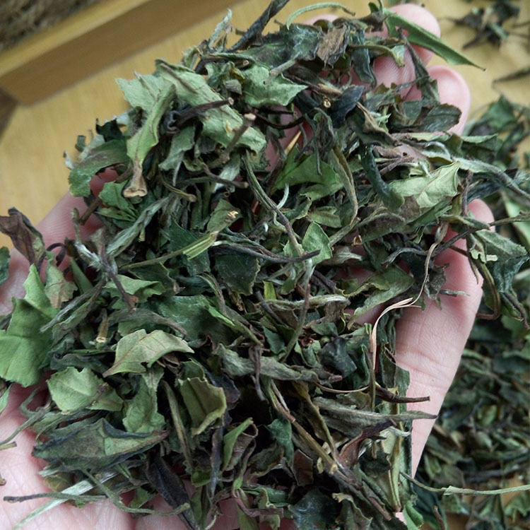 Authentic Fuding White Tea in Spring 2017 Gongmei Small White Tea Earth Tea 400g Wild Tea