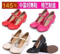 New Yang Yi Chunying Yingzi Purple Butterfly Leather Square Dance Shoes Leisure Friendship Ethnic Latin Modern