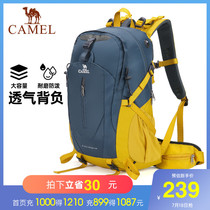 Camel outdoor mountaineering bag shoulder bag Large capacity portable camping hiking backpack for men and women splash-proof wear-resistant school bag
