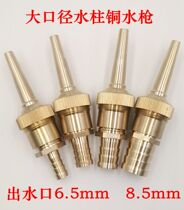 456 min 1 inch water pipe 1 2 inch water pipe water belt water gun car washing car Flushing ground high pressure copper gun head direct spray nozzle
