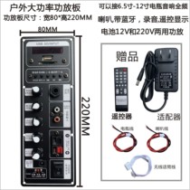 Square dance outdoor audio motherboard 220V Electric 12V battery Bluetooth lever speaker microphone microphone microphone amplifier board