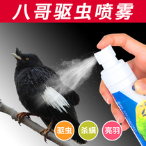 Brother supplies bird equipment supplies parrot in vitro deworming spray brother bird medicine brother Xuanfeng parrot supplies utensils
