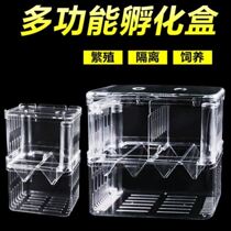 Guppies breeding artifact box fish tank fish fry incubator isolation box small fish incubator box large acrylic fish eggs