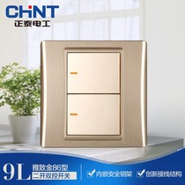 Chint 120 Type 86 type 9L safety steel frame wall switch socket gold two open dual control