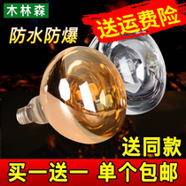 Explosion-proof bath bulb 275W toilet old-fashioned bath heating bulb lighting Middle led small bulb light source