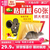 60 strong sticky mouse board to catch sticky big mouse stickers stick glue to catch rats to kill rats and catch rats artifact household one-pot warehouse