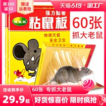 60 strong sticky mouse board to catch sticky big mouse stickers stick glue to catch rats to kill rats and catch rats artifact household one-pot warehouse