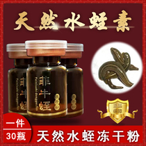 Fei Niu Leech freeze-dried powder Hirudin Hirudin Leech Peptide Herbs Treatment of Thrombosis High Content 30 Bottled Capsules of Chinese Medicinal Materials