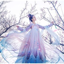 Hanfu Womens Tzu Hang Quiet Ancient Dress Chinese style Skirt China Wind Han Elements Students Everyday suits floating in a long skirt for autumn and winter