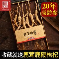 Forest ginseng old dry ginseng 15 years 20 years Changbai Mountain specialty non wild wild mountain ginseng ginseng gift box