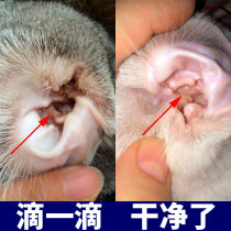 Cat ear mites ear drops ear mites cat use dog pet dog pet dog removal ear mite ear cleaning supplies
