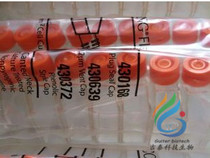 430168 25cm square oblique mouth cell culture flask Corning Corning 20 packs 25 packs
