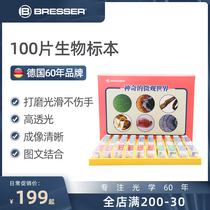 German specimen biological section real animal insect plant cell slide experimental kit microscope accessories