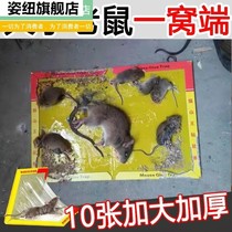 Sticky Rat Plate Powerful Adhesive Large Rat Stickholder Domestic Mouse to catch rat and mouse Pioneer A Nest End Mousetrap