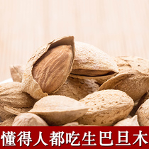  Xinjiang specialty paper skin original Badan wood 500g hand-peeled almonds and almond kernels Badan wood nut snacks fried goods