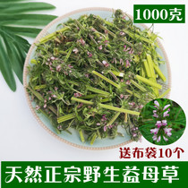 New goods dry goods motherwort Chinese herbal medicine fresh wild aunt edible tea foot conditioning Qi blood