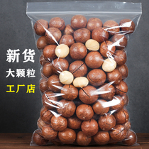 Creamy Hawaiian fruit 500g bagged daily nuts fried goods pregnant women dormitory snacks bulk box 5kg