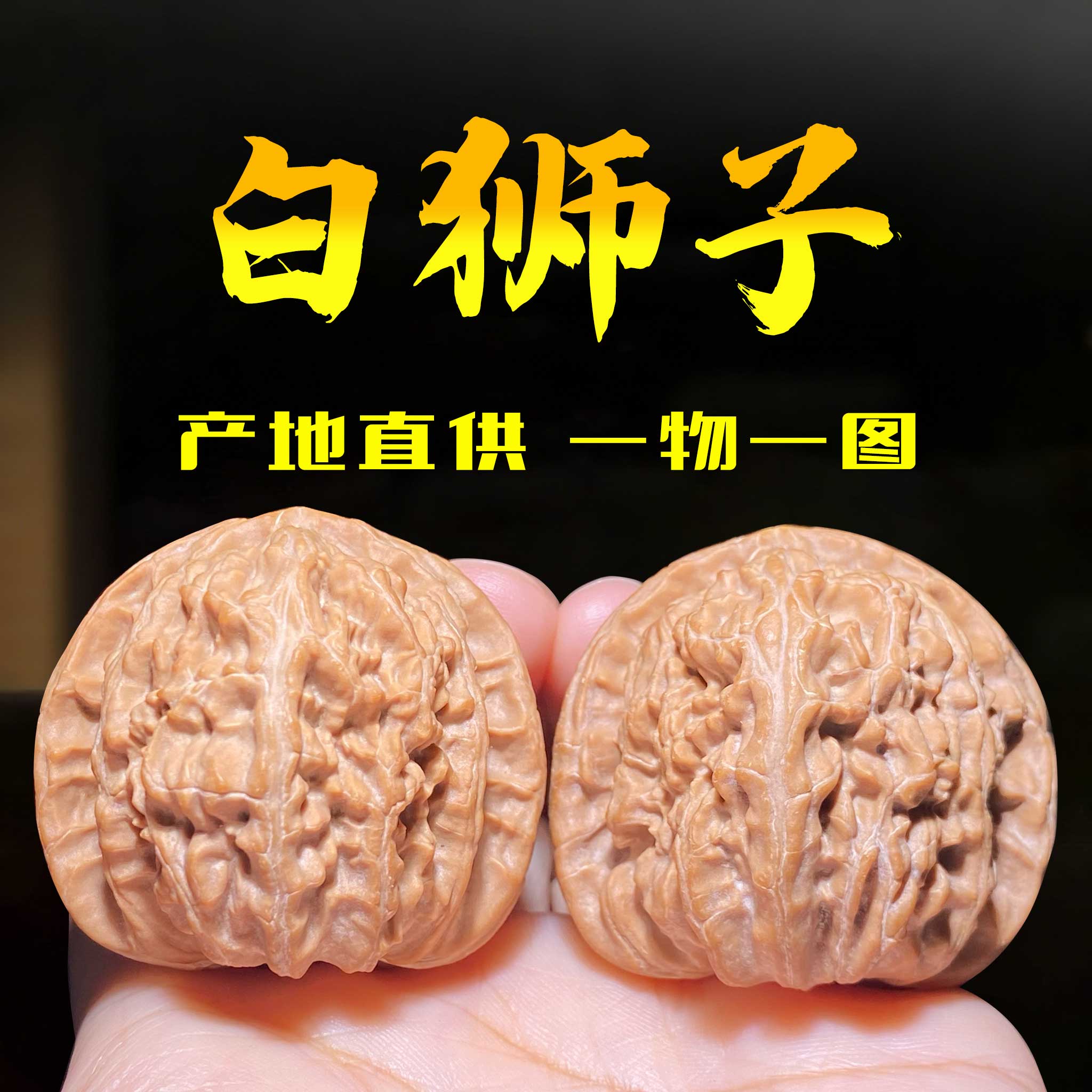 三角白狮子核桃一物一图-三角白狮子核桃一物一图促销价格、三角白狮子