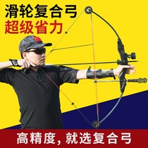 Professional high precision compound bow arrow shooting sports straight pull reverse curved bow Archery small set of labor-saving pulley bow