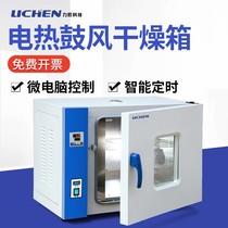 Lichen Technology Electric Constant Temperature Blast Drying Oven Laboratory Oven Headlight Oven Industrial Small Dryer