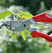 Taiwan imported farmers TA-120A pruning shears tree shears scissors gardening tools and knives