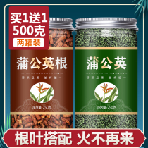 Dandelion leaf tea Pugongying whole root super wild fresh dry breast female Sanjie Chinese herbal medicine