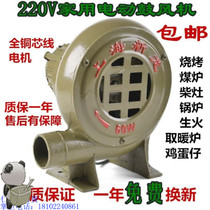60W wood stove with barbecue stove blower stove hair dryer ignition kitchen fire 60w200w factory 80W