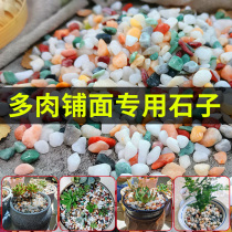 Natural rain flower stone multi-meat paved pebble gardening flowerpots planted with decorative hydropony bottom fish tank made of colorful stone head