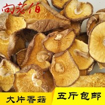 Xiang Lao Bo large pieces of dried shiitake mushrooms wild edible mushrooms shiitake mushrooms commercial bulk soup ingredients 500g