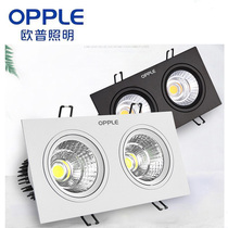 Op led single double-head spotlight cob grille daring 10*20 embedded clothing store living room two-end hole lamp