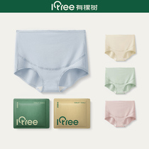 There is a tree high waist pregnant womens underwear womens cotton crotch summer antibacterial early early mid late pregnancy shorts