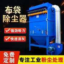 Pulse Cloth Bag Dust Collector Equipment High Temperature Resistant Boiler Woodworking Central Dust Removal Industry Environmental Protection Dust Collector